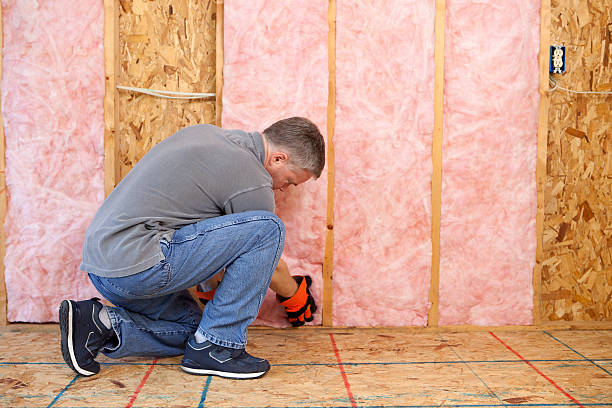 Best Insulation Removal  in Merlin, OR